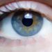 緑内障対策の新常識！点眼での眼圧ケアは当たり前…緑内障の進行速度を遅らせるのにルテインが有効か！？